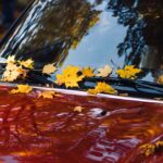 Yellow,Autumn,Leaves,On,Red,Car,Hood,And,Windshield.,Fall